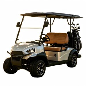 Silver Fairway 20 standard 2-seater electric golf car with a rear golf bag holder and turf-friendly tires, designed for professional golf course fleet use.